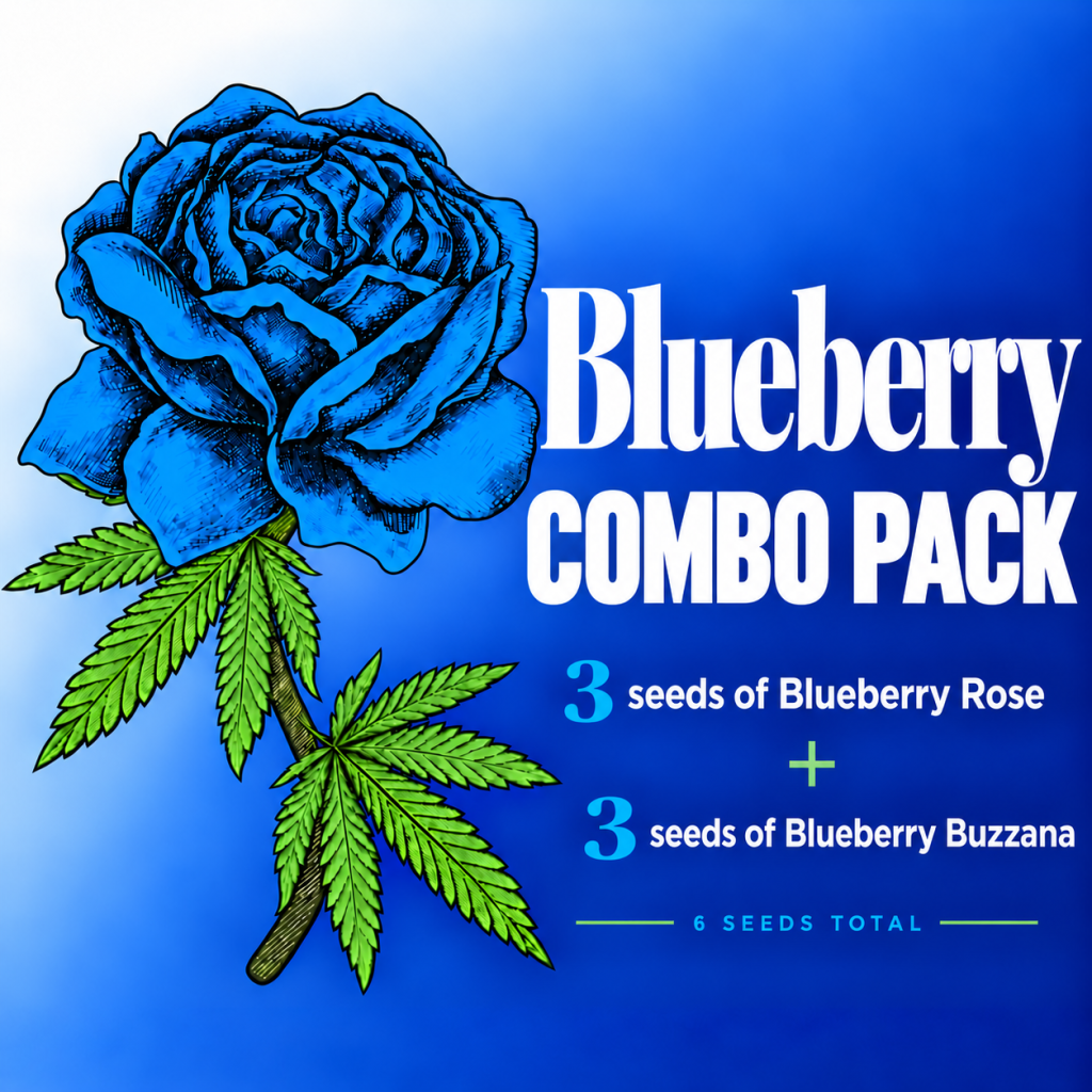 Blueberry Combo Pack